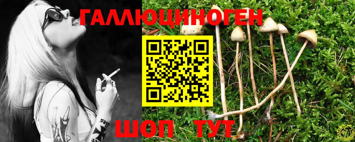 Коряжма  Галлюциногенные грибы Magic Shrooms  Псилоцибиновые грибы Psilocybe  Вход с VPN 